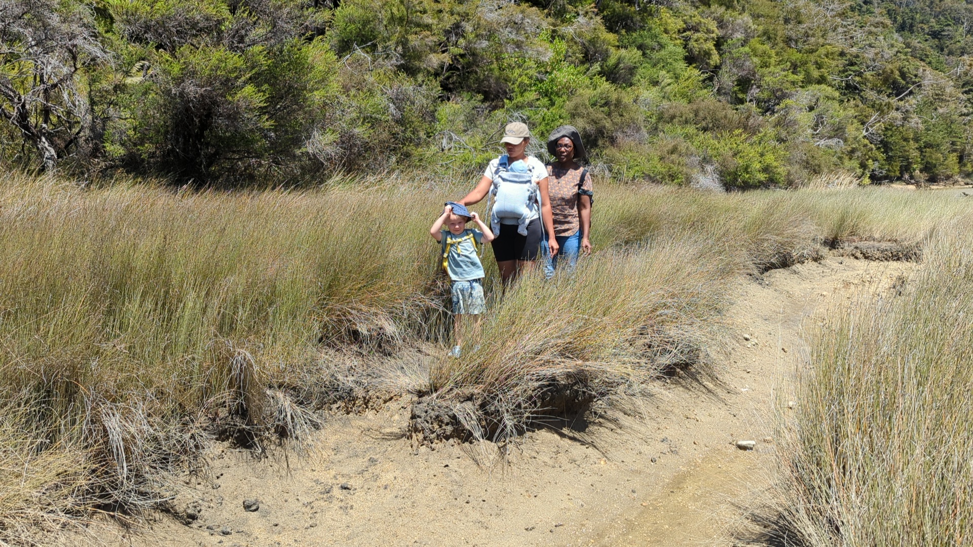 Abel Tasman NP: Achorage